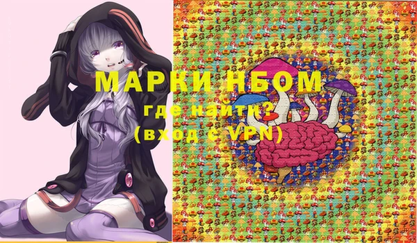 тгк Няндома