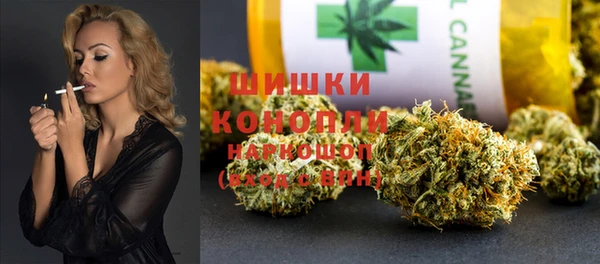 тгк Няндома