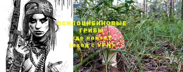 spice Вуктыл
