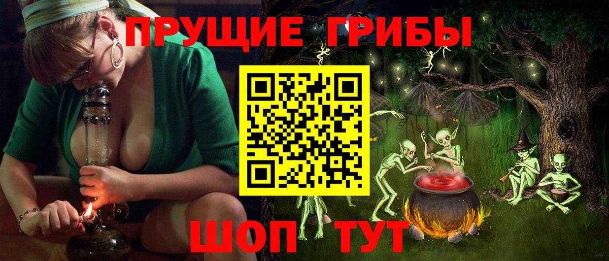 Галлюциногенные грибы GOLDEN TEACHER Старый Оскол