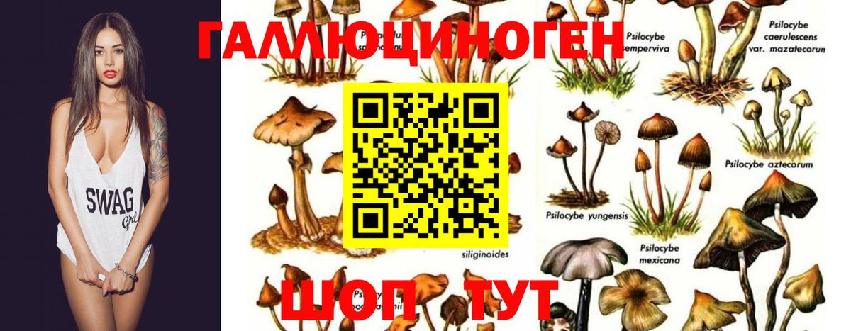 Галлюциногенные грибы ЛСД  что такое наркотик  Старый Оскол  Галлюциногенные грибы мицелий  Вход с VPN 