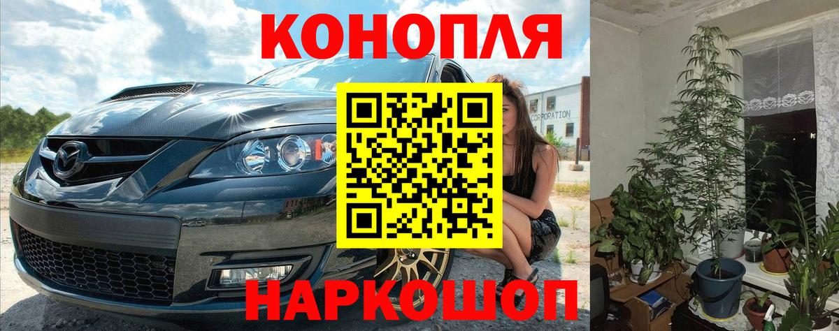 Бошки марихуана сатива  Конопля конопля  Старый Оскол  Каннабис Ganja  МАРИХУАНА SATIVA & INDICA 